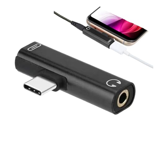 Type C �C���z�� �ϊ��A�_�v�^ 2in1 PD 60W�}���[�d ���y�����Ȃ���[�d�ł� HiFi���� ���ʒ��� �����ʘb �y�� �����^�ѕ֗� ���@�\ �I�t�B�X �ƒ�p �d���p �v���[���g �M�t�g ���蕨