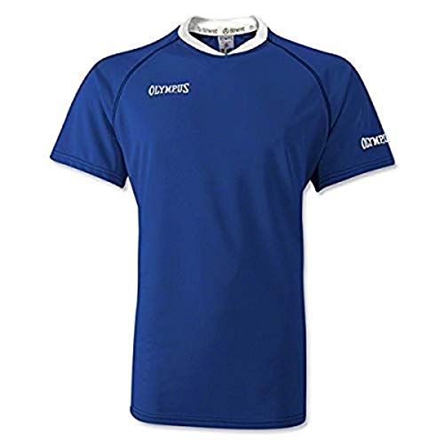 OLYMPUS Basic Rugby Jersey, Royal/White, Adult Large