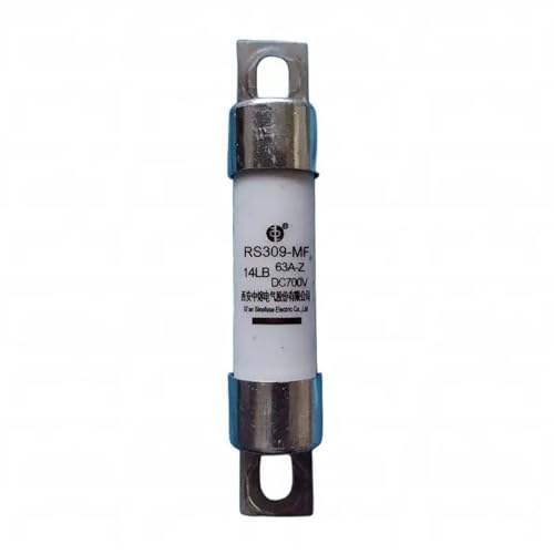 Fusible RS309-MF 14LB 63A-Z haute performance DC700V pour armoire industrielle