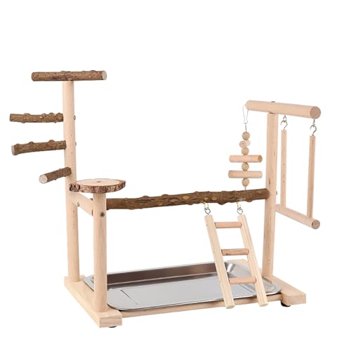 Image of RoseFlower Parrot Playstand, Bird Stand for Indoor, Wooden Bird Playground with Swing, Ladder, Perches and Removable Tray, L*W*H 14x9x15 Inch