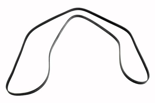Courroie ACDelco 12656797 noire à haute résistance pour moteur GM