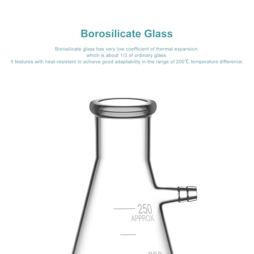 StonyLab 250ml Filterung Fläschchen, Borosilikatglas Glass Filtering Flask, Fläschchen mit Tubulation - 250ml