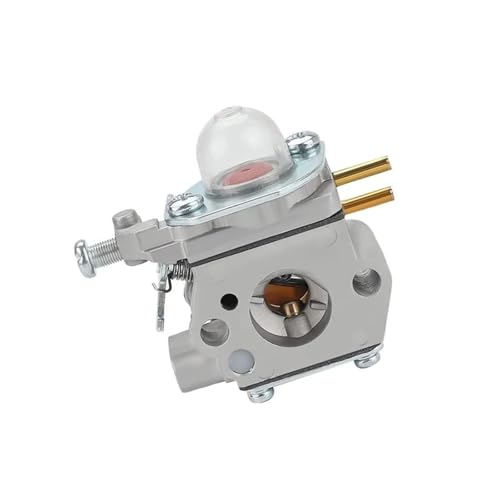 Carburateur pour BL110 BL160 WT-973 et débroussailleuses M2510 M2500