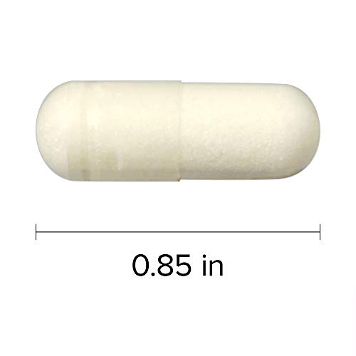 Webber Naturals Apple Cider Vinegar Capsules - Image 7