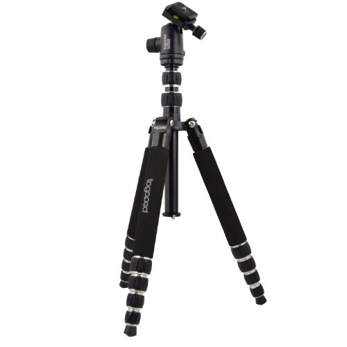 Fotostativ togopod Luisa II aus Aluminium 1,60m inklusiv 360° Kugelkopf + Tasche + Schnellwechselplatte. (Packmaß 35cm, max. Höhe 160cm, min. Höhe 18cm, Tragfähigkeit 5kg, Gewicht 1,35 kg) Cover