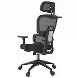 Cyfromt Mesh Chair