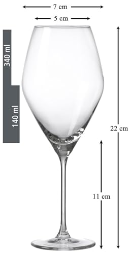 Verres à vin blanc Ritzenhoff & Breker Salsa 340 ml lot de 6 - 3