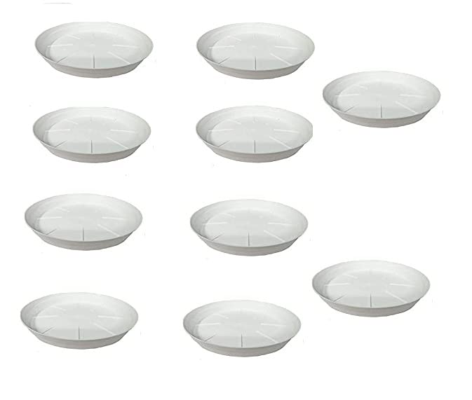 Pankaj Nursery Plastic Bottom Tray Saucer, Plate 6" Suitable for 8 inch, 10 inch, Round Plastic Pot, White Color Set of 10 Pieces… (B09YPV273X) Amazon Price History, Amazon Price Tracker