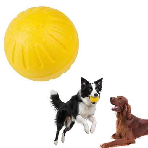 Lifetips �A�C���b�V���E�Z�b�^�[�iIrish Setter�j ���p �������� EVA�����O �h�[�i�c�^ �{�[�� �y�� ��v �f�� ���� �V�їp �y�b�g�ߋ� ������ �T�|�[�g �^�� �X�g���X���U ���ɕ��� ���^�� ���^�� ��^�� �Ή� ���� �V�� �g