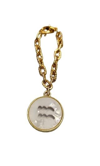 morel STURDY GOLD CHAIN WATCH CHARM OF ZODIAC SIGN AQUARIUS PENDANT CHARM, WATCH ACCESSORIES, GIFTABLE FOR WIFE, SISTER OR FRIENDS. (B0BMLR4W9C) Amazon Price History, Amazon Price Tracker