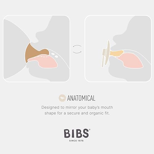 Image of BIBS Pacifiers, Natural Rubber Baby Pacifier, Anatomical Nipple, Pack of 1, BPA Free - 0+ Months, Size 1- Ivory, Colour Collection