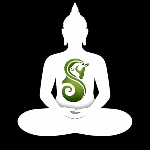 Heart horse relationships and more! Podcast Por  arte de portada