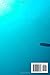 If nothing goes right go down: Scuba diving logbook for women/men/kids/adults/diver