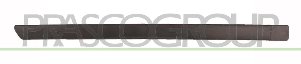 Prasco Zier-/Schutzleiste, Tür Fd4241453