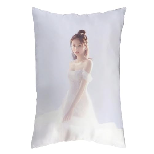 Bai Lu白鹿バイ・ルー ポスター 韓流 かっこいいですの画像写真1 抱き枕カバー 長方形 等身大クッションカバー 両面プリント 気持ちいい 安眠 隠しファスナー式 伸縮性 着脱簡単 肌触り良い 柔らかい 四季兼用 ベッド飾り 20"x30"