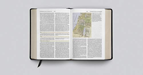 Crossway 642453 Esv Study Bible  thumb #4