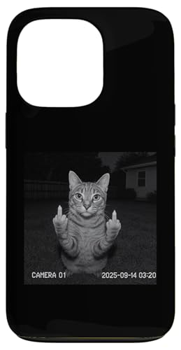 Funny Cat Flipping Off Middle Finger On Security Camera X}zP[X iPhone 13 Pro p