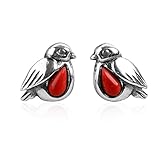 1 AOVNA Orecchini a bottone in miniatura a forma di pettirosso, orecchini a perno in argento per donne, bird watching, regali per gli amanti degli uccelli