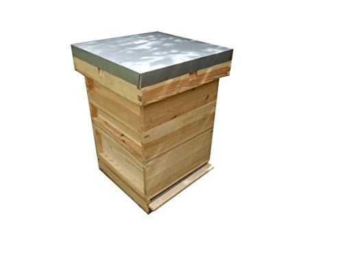 Beehive with Two Supers - British National - Solid Pine - Deep Roof and Deep Base with removable Varroa Tray