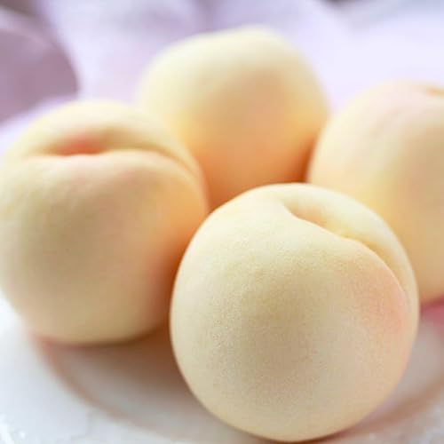 �t���[�c ���� �M�t�g (���ƒ�p/���P/���� ���˓����� �i�킨�܂��� 4Kg)