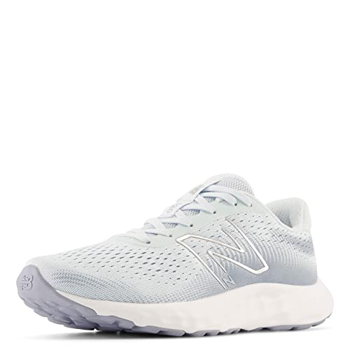 Image of New Balance Women's 520 V8 Shoes