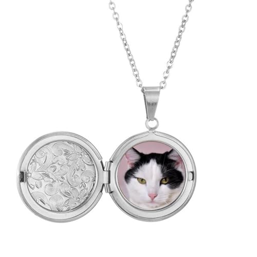 Collier médaillon chat suspendu pour identification animal domestique