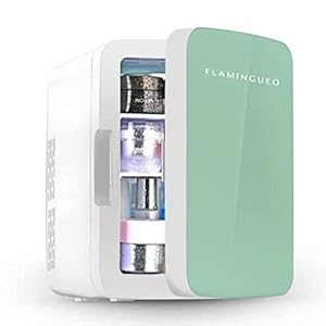 Flamingueo Kühlschrank – Kleiner Kühlschrank 10L, Retro Kühlschrank, Kosmetik Kühlschrank 12V/220V, Skincare Fridge, Funktionen zum Kühlen und Heizen, Minikühlschränke, Outdoor Kühlschrank