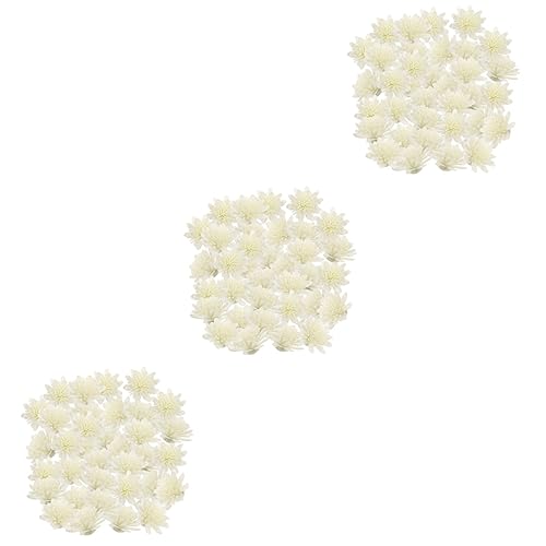 Difusores de flores aromáticas ABOOFAN 300 piezas