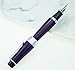 Asvine Luxury Purple Fountain Pen, Asian Calligraphy Bent Nib Fude Pen Fine to Broad Point by Duke Charlie Chaplin
