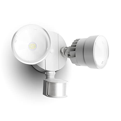 The 10 Best Flood Light With Motion Sensor Best Deals in 2024
