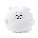 BT21 Official Merchandise by Line Friends - RJ Character Pong Pong Cushion 11.8 Inches