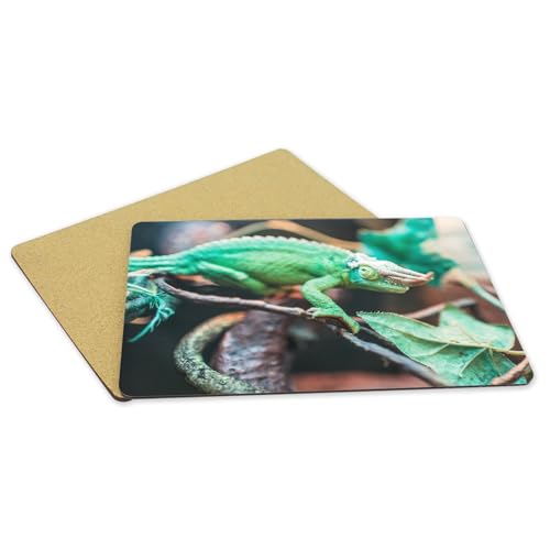Grand format 39,5 x 28,5 cm sets de table souples napperons vie sauvage