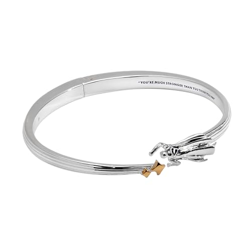 Alex and Ani SUPERMAN™ Jewelry2