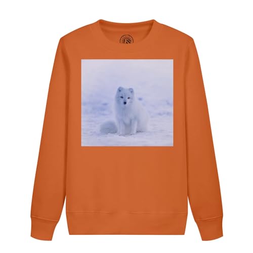 Sweatshirt renard polaire enfant en coton blanc neige haut de gamme