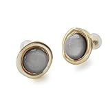 [ジュエルボックス] JewelVOX ピアス イヤリング レディース 金属アレルギー対応 ニッケルフリー チタンポスト アクリル樹脂 サークル ニュアンス モチーフ シンプル (【イヤリング】グレー)