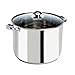 Ecolution Stainless Steel Stock Pot, Encapsulated Induction Ready Cooking Pot with Glass Lid, Oven Safe, Dishwasher Safe Soup Pot, 8-Quart