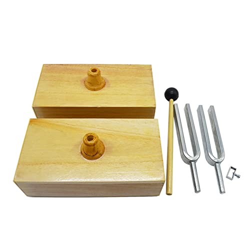 Jieoto 440Hz Resonance Tuning Fork Wooden Speaker Steel Fork Teaching Fork Physical Acoustics Laboratory Instrument Resonance Box #TOP2