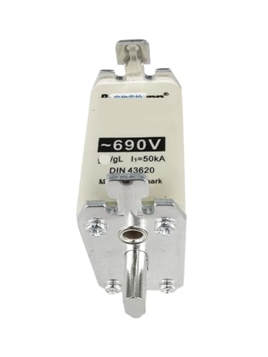 Fusible 170M4419 Cooper Bussmann à couteaux type standard pour convertisseur de puissance