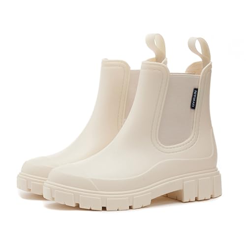 [Raineed] Cu[c V[g fB[X CV[Y C fB[X jp JC  y Sh ₷ ʊw ʋ Jp J΍ ~J΍ (x[W, l, 25.5 cm, l, {̌C̃TCY@)
