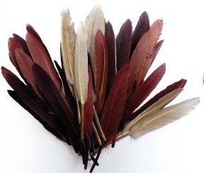 1 sachet de 10 grammes de Plumes d'indien - Camaïeu Chocolat