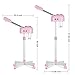Professional Facial Steamer, Vaporizador Facial Steamer for Esthetician, Vapor Face Steamer, Pink