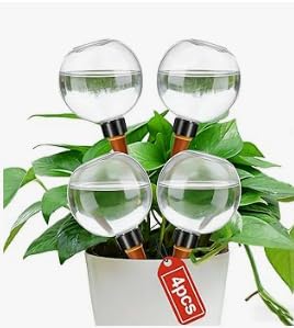 4 boules d'arrosage pour plantes