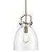 Innovations Lighting 412-1S-BB-10CL Bare Bulb 1 Light Cord Set, Brushed Brass