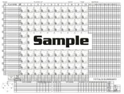 Big Red Enlarged Detailed Baseball/Softball Scorebook