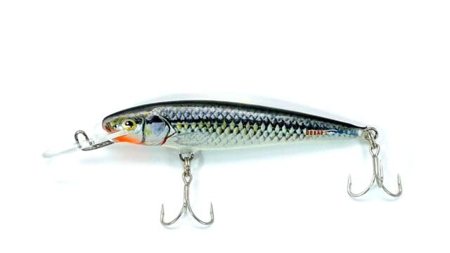 EVERBAY DORADO Wobbler Fishing Lure - Artificial Hard Crankbait - Fishing Tackle, Topwater Life-Like Swimbait for Perch Pike Zander Catfish Chub Salmon Trolling in Saltwater, Floating - STICK 9cm S — image 1