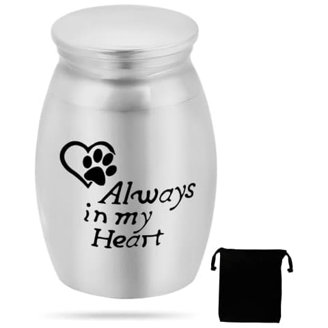 Sweet Swamp 1 Set Mini Cremation Pet Urn Small Cremation Urn Keepsake Urns For Dogs Cats Stainless Steel Ash Holder(Always in My Heart) Cover