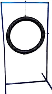 ActiveDogs Aluminum Dog Tire Jump, Adjustable 4