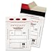 EnveSafe Padded Tamper Evident Envelope, 10 1/4 x 13 5/8, 10/Box