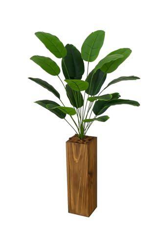 Planta do Paraíso com Vaso de Madeira