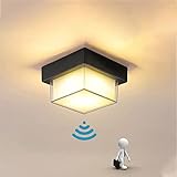 Plafón con sensor de movimiento se encenderá automáticamente cuando se acerque. Se activa cuando se detecta movimiento dentro de 3- 5M y se apaga automáticamente 30 segundos después de que el movimiento se detiene. La luz de techo detectará sensiblemente el brillo de los alrededores, se encenderá automáticamente por la noche y se apagará durante el día, evitando que los niños se caigan durante las noches oscuras, ahorrando más energía para su vida.